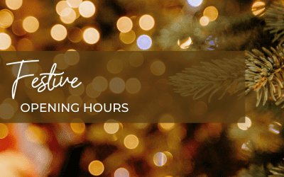 Festive opening hours 2025