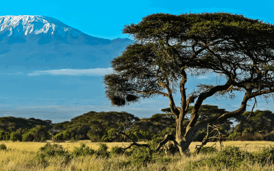 Partners with the Olmalaika Trust Dental Clinic in Kenya